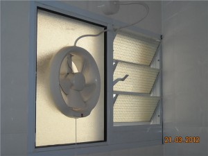 Louvre-With-Fan-300x225
